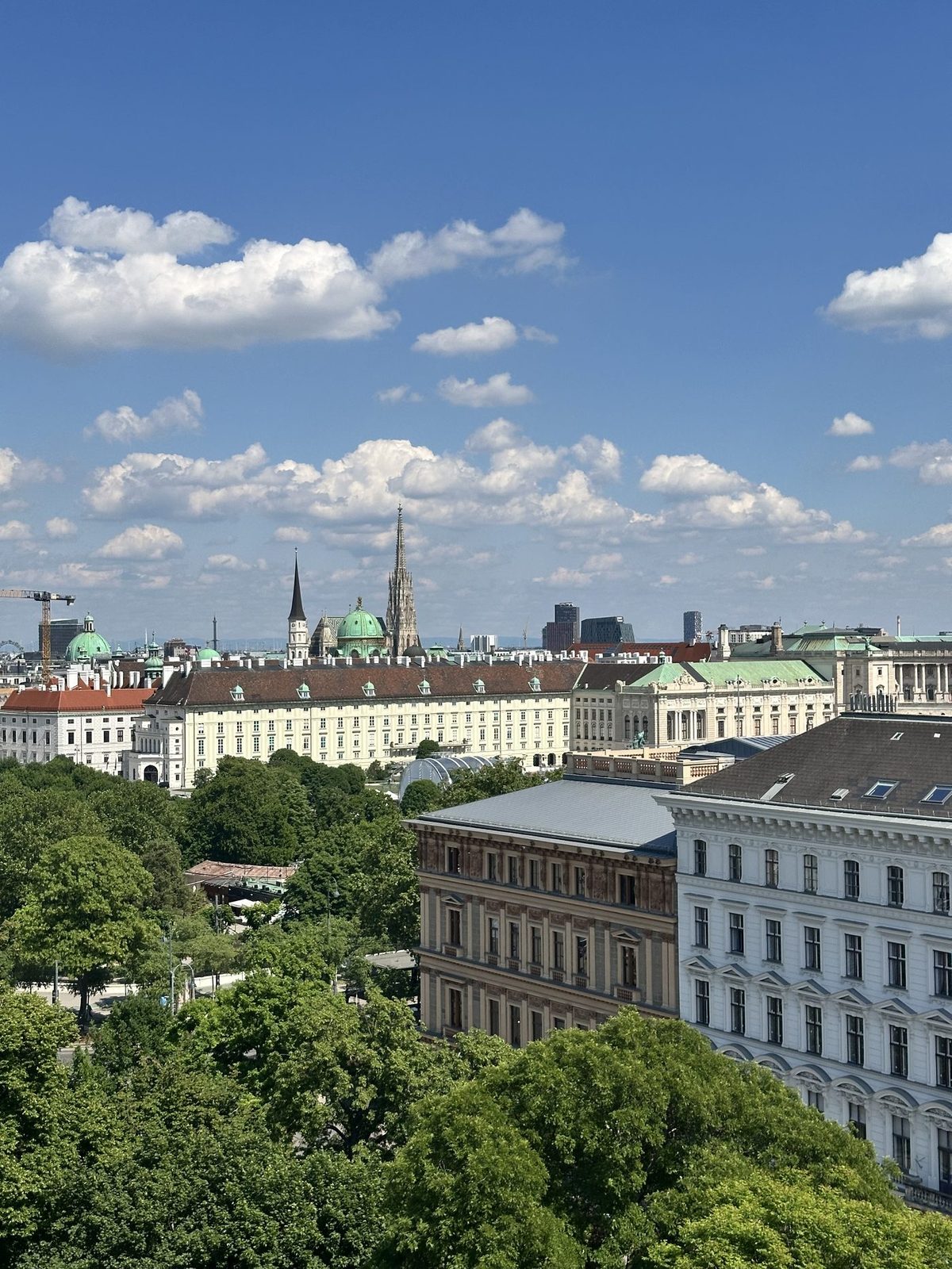 Vienna from the Palace of Justice rooftop: the Hofburg in the foreground, Stephansdom&rsquo;s spire rising behind